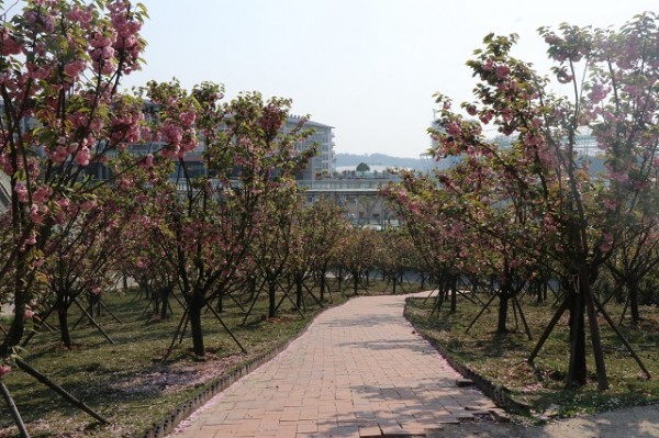 微信图片_20190411094748 - 副本.jpg